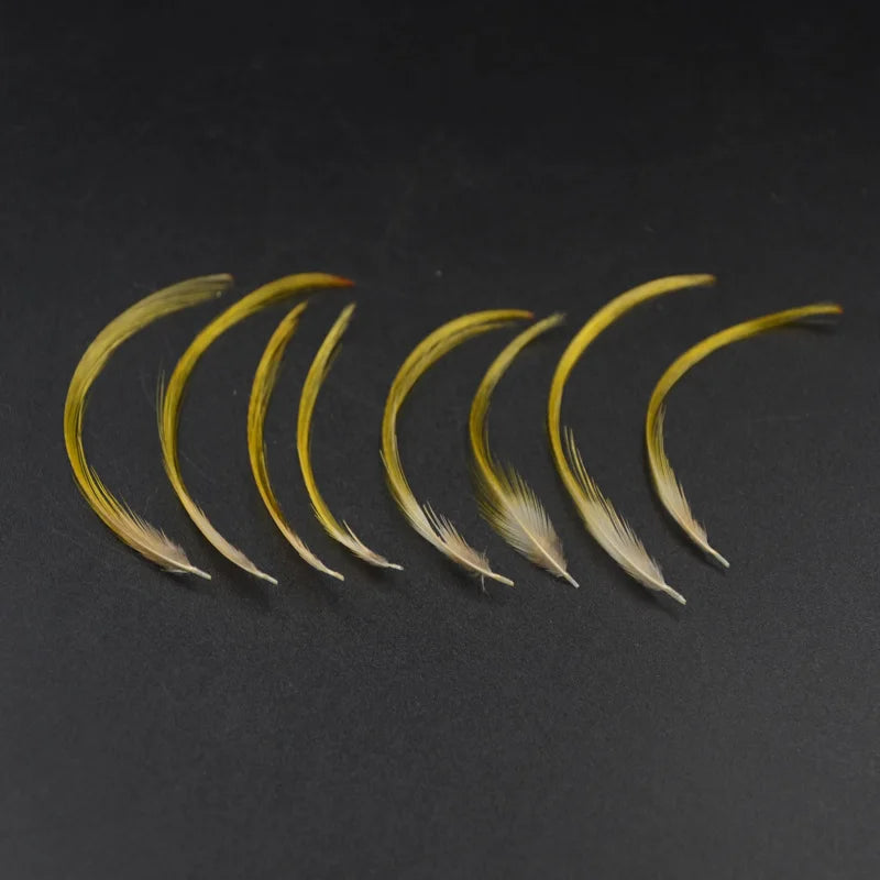Golden Pheasant Crest Feathers, 50 Pack