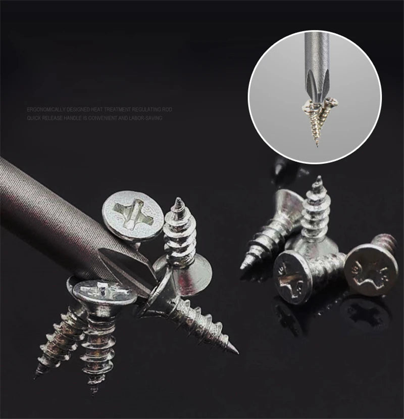 Ten-Piece 100mm Magnetic Slotted and Phillips Bit Set