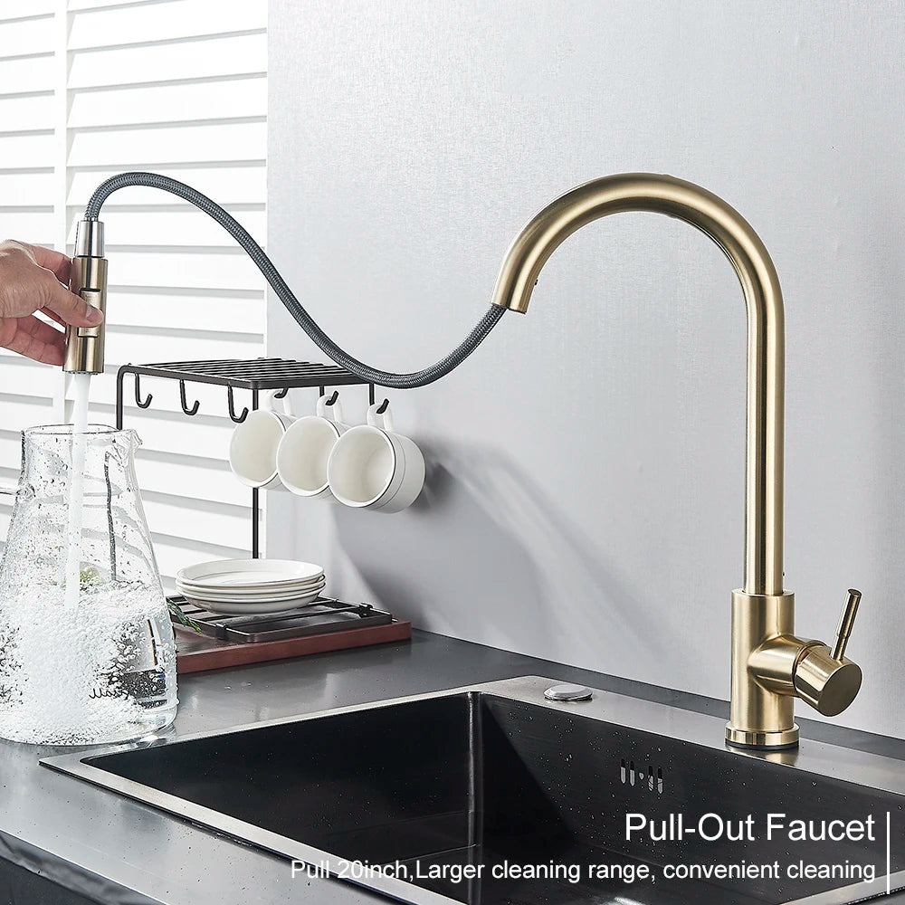 Black Kitchen Faucet with Pull-Out Dual-Function Spray