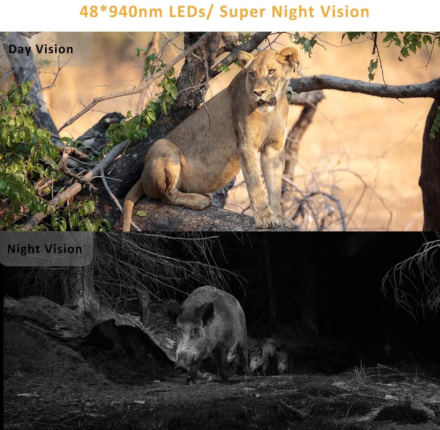 4K Live Show APP Clould Service Hunting Trail Camera HC801PROLI Stream Media 5000Mah Recharger Battery 4G 30MP Night Vision 