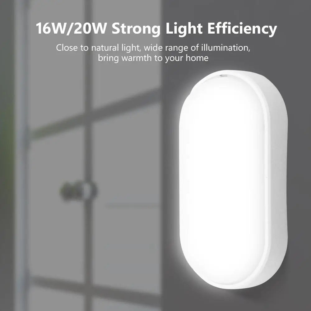Round or Oval LED Bulkhead Light, 16W/20W