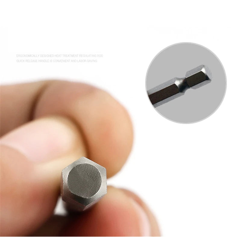 Ten-Piece 100mm Magnetic Slotted and Phillips Bit Set