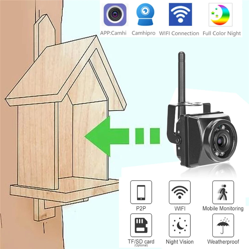 Bird Box Camera Kit with Audio, Night Vision, Waterproof Outdoor IP Camera