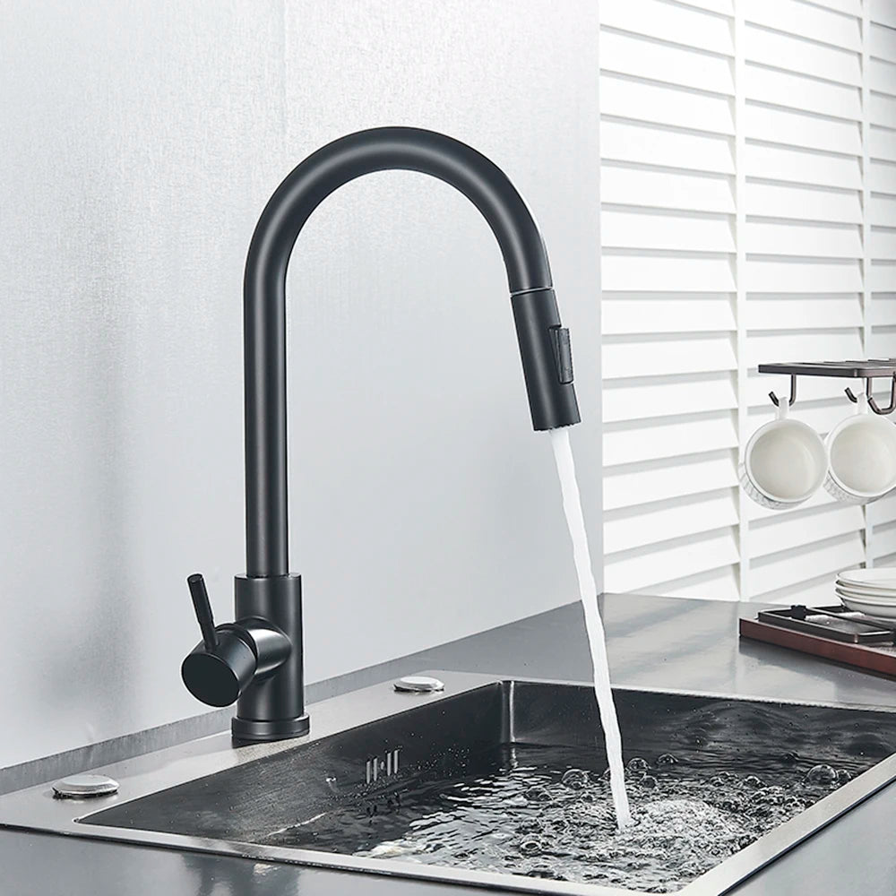 Black Kitchen Faucet with Pull-Out Dual-Function Spray