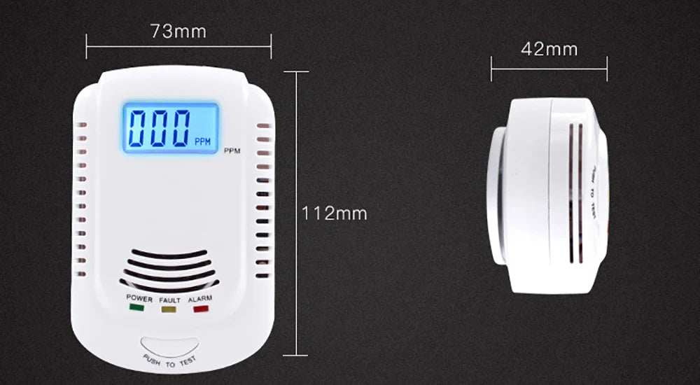 Gas Detector and Carbon Monoxide Alarm for Home Safety