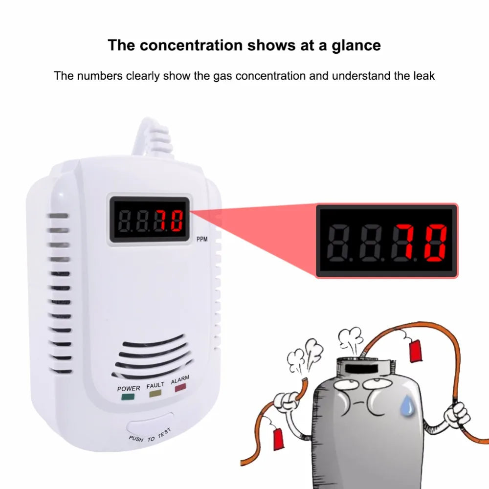 Gas Detector and Carbon Monoxide Alarm for Home Safety