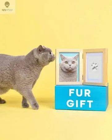 Paw Print Clean Touch Ink Pad, Dog Or Cat Pet Owner Keepsake, DIY Inkless Nose and Pawprint Impression Making Kit Spy-shop.com