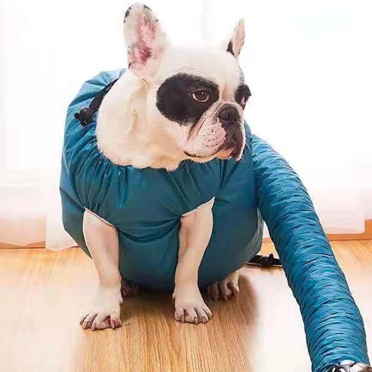 Bolsa de secado para mascotas con manga de accesorio de secador