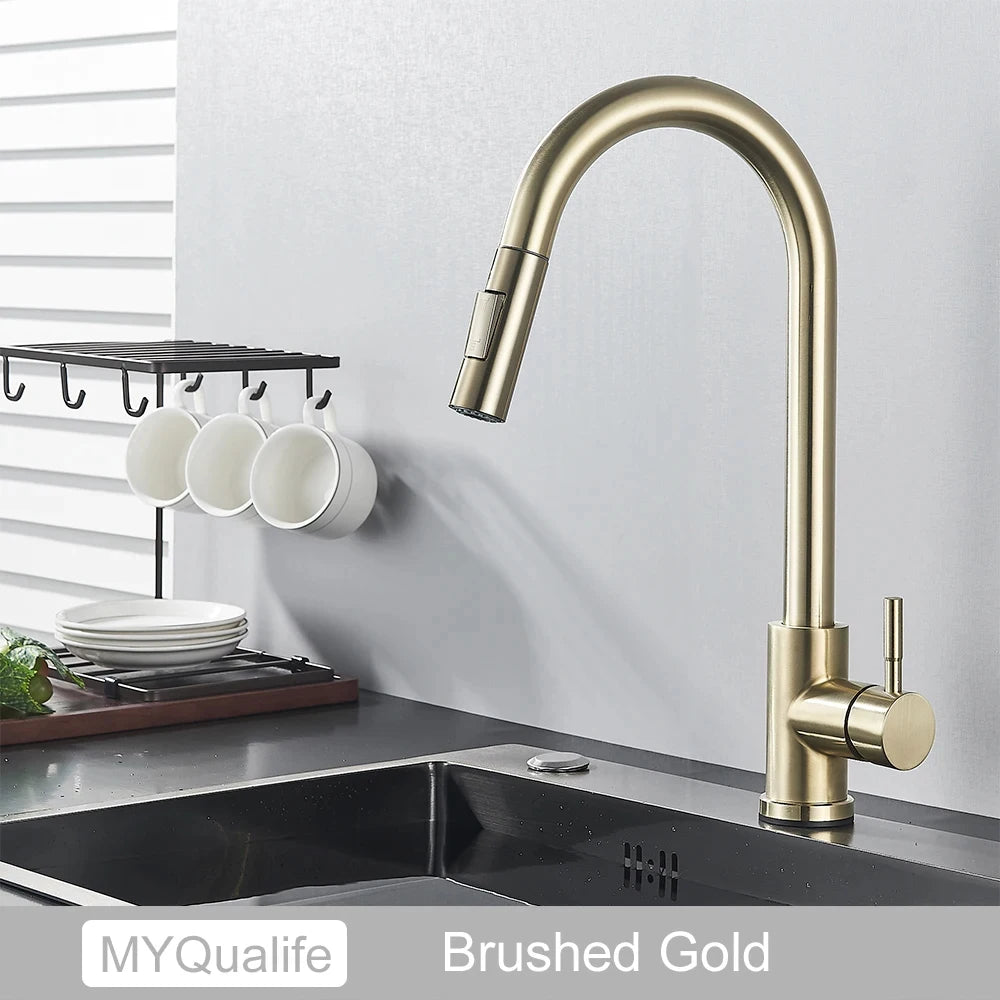 Black Kitchen Faucet with Pull-Out Dual-Function Spray