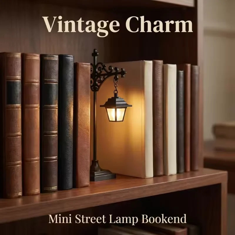 Vintage-Style LED Bookshelf Accent Lamp, Design Options