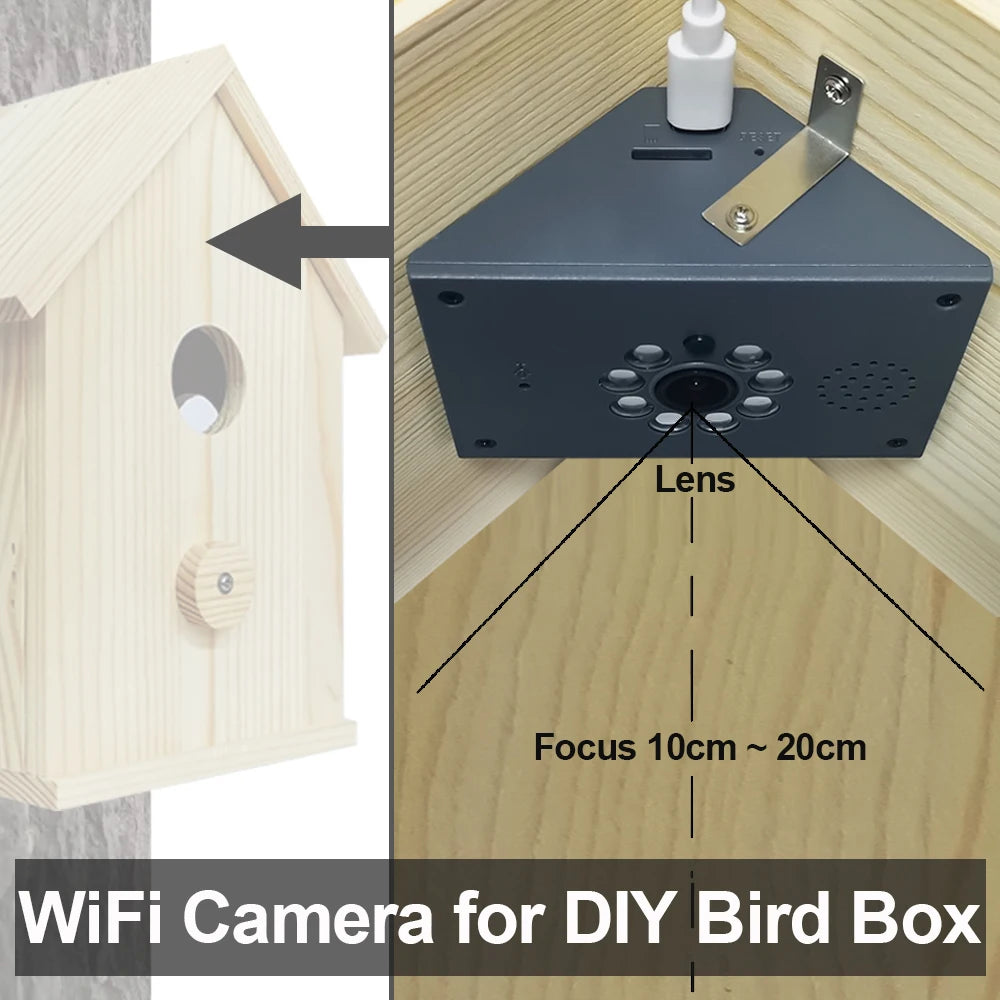Wi-Fi Birdhouse Camera - Card Options