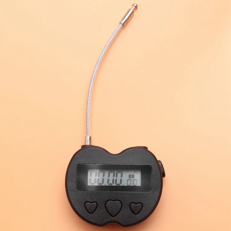 Oplaadbare LCD Timer-kluis
