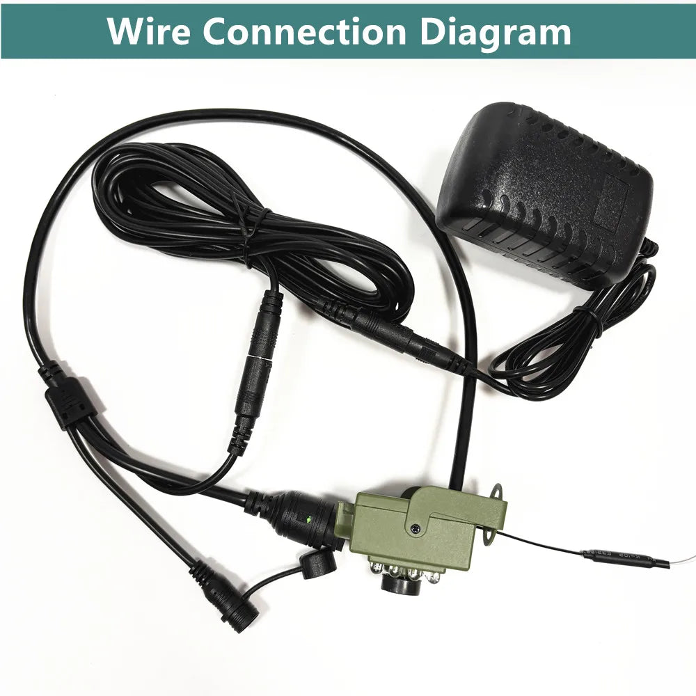 WiFi Bird Nest Camera with Motion Detection and Night Vision