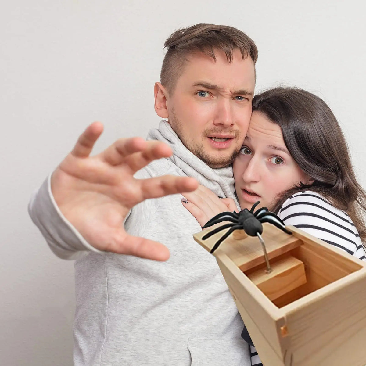 Lustige Spinnen-Alarm-Box Holz-Streichspielzeug