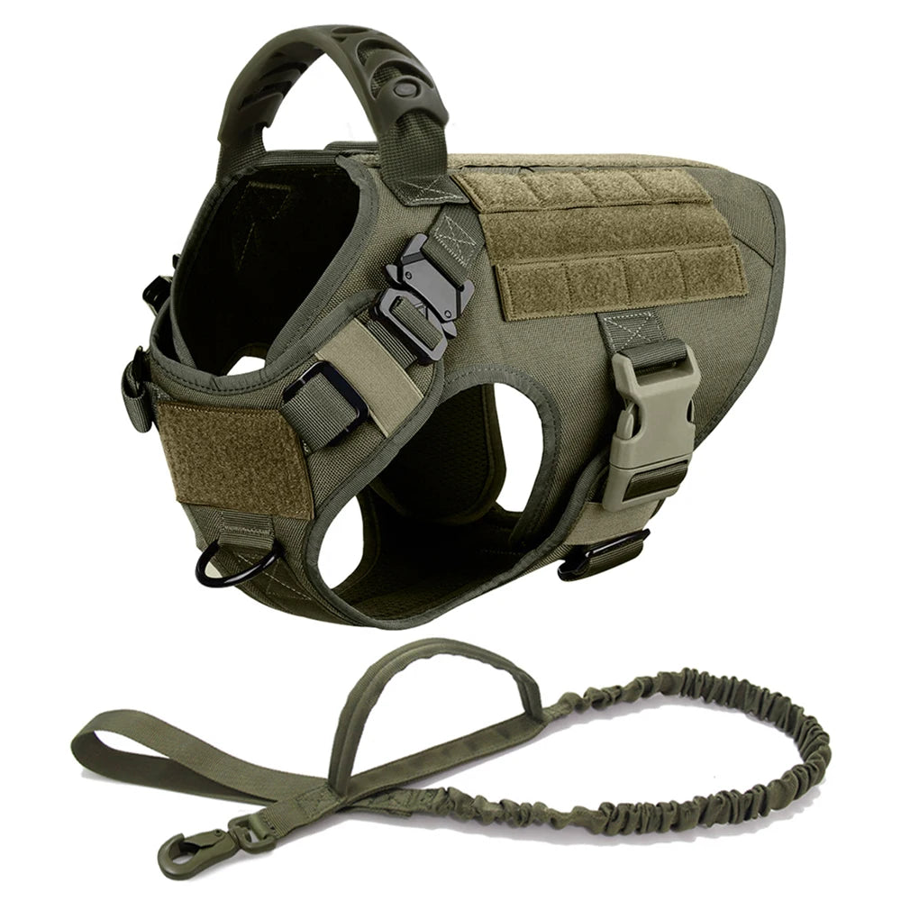 Large Dog Harness and Leash Set for Training and Walking