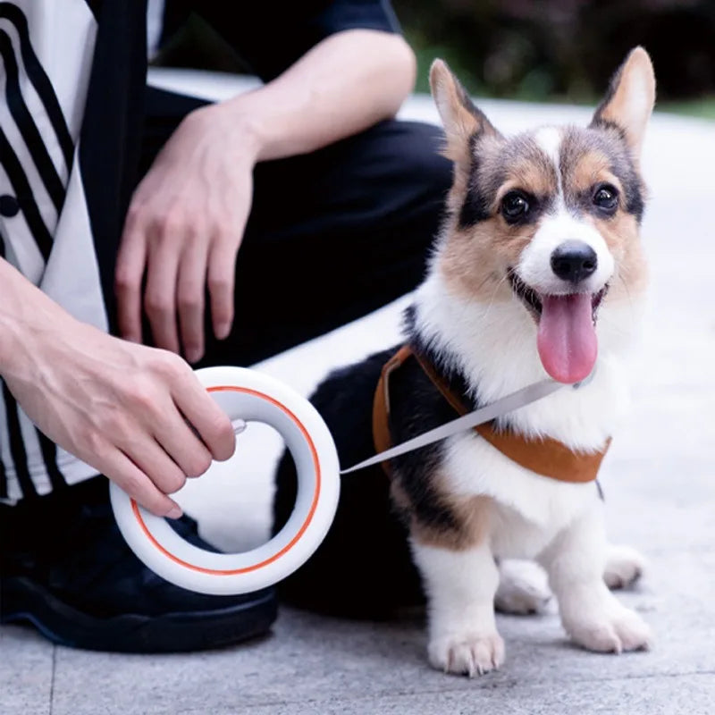 3m Retractable Dog Leash with One-Hand Brake & Anti-Slip Handle