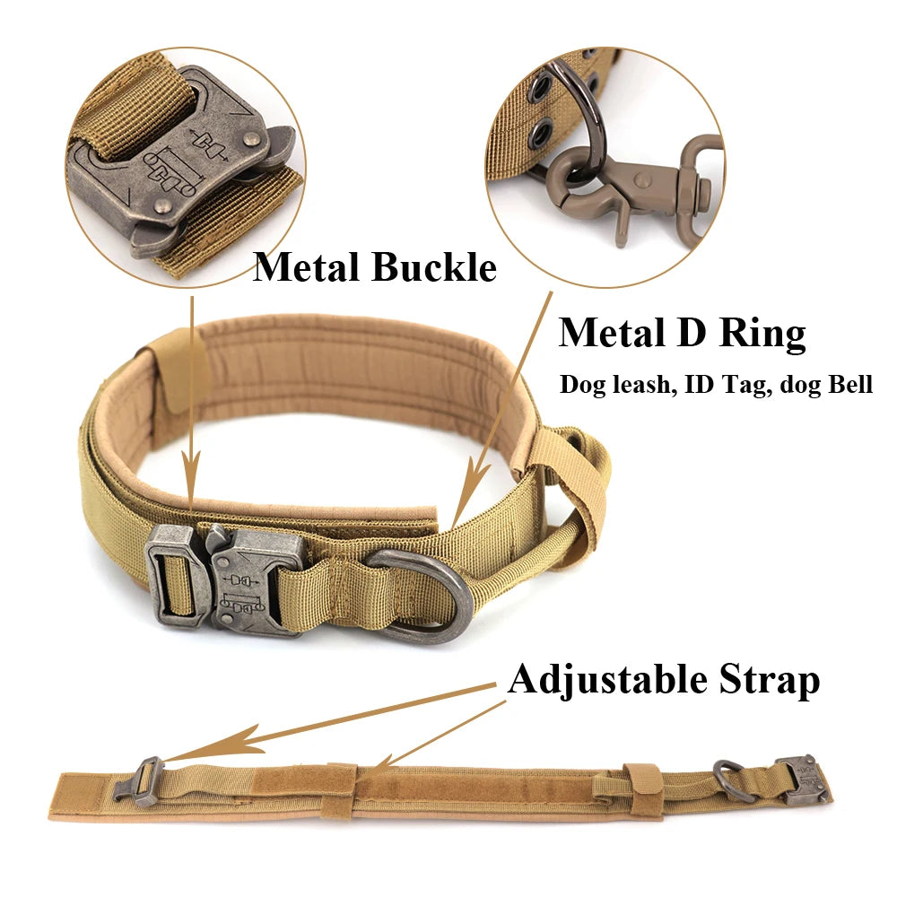 Large Dog Harness and Leash Set for Training and Walking