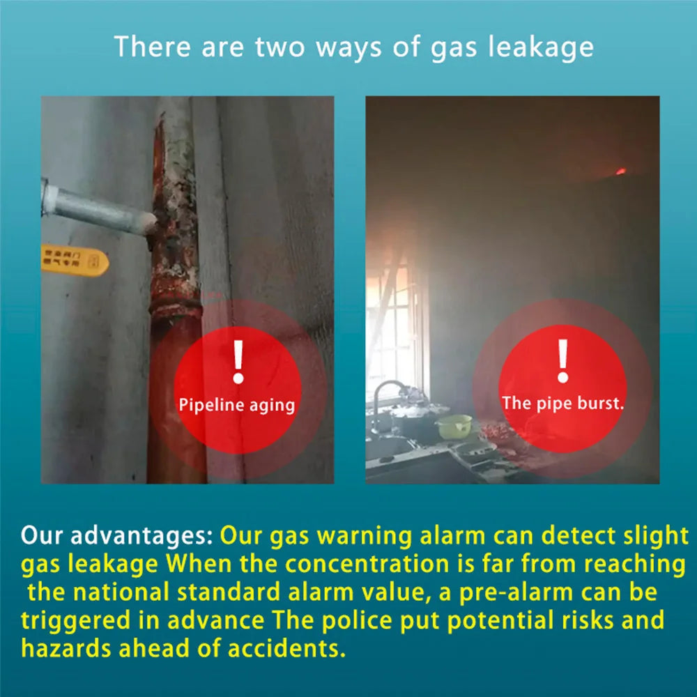 WiFi Smart Gas and Carbon Monoxide Alarm Detector
