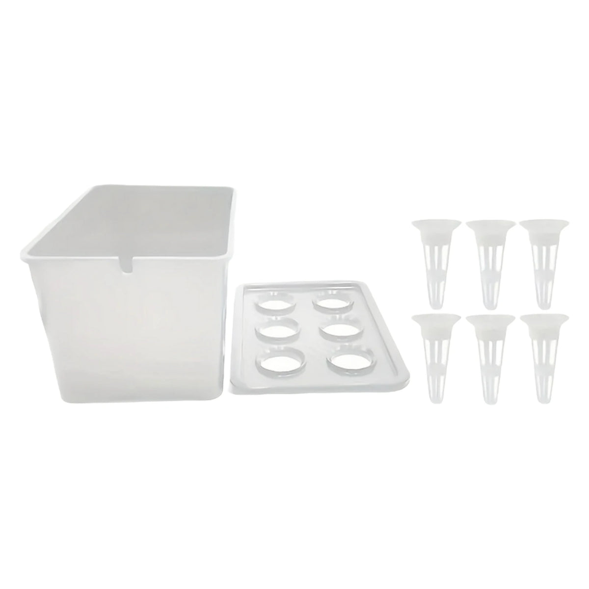 Six-Cup Hydroponic Seedling Box