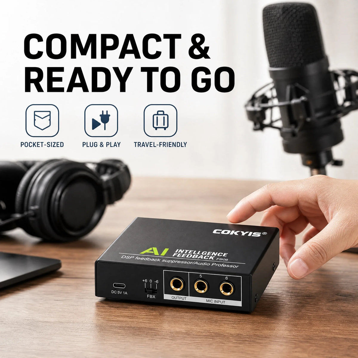 Compact DSP Microfoon Feedbackverwijderaar