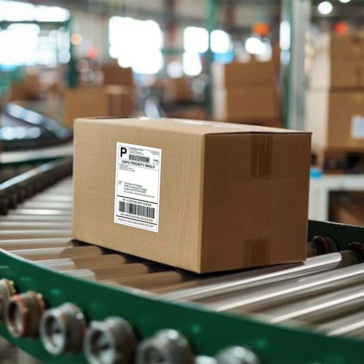 100 × 150 mm Thermal Shipping Labels, Pack Options