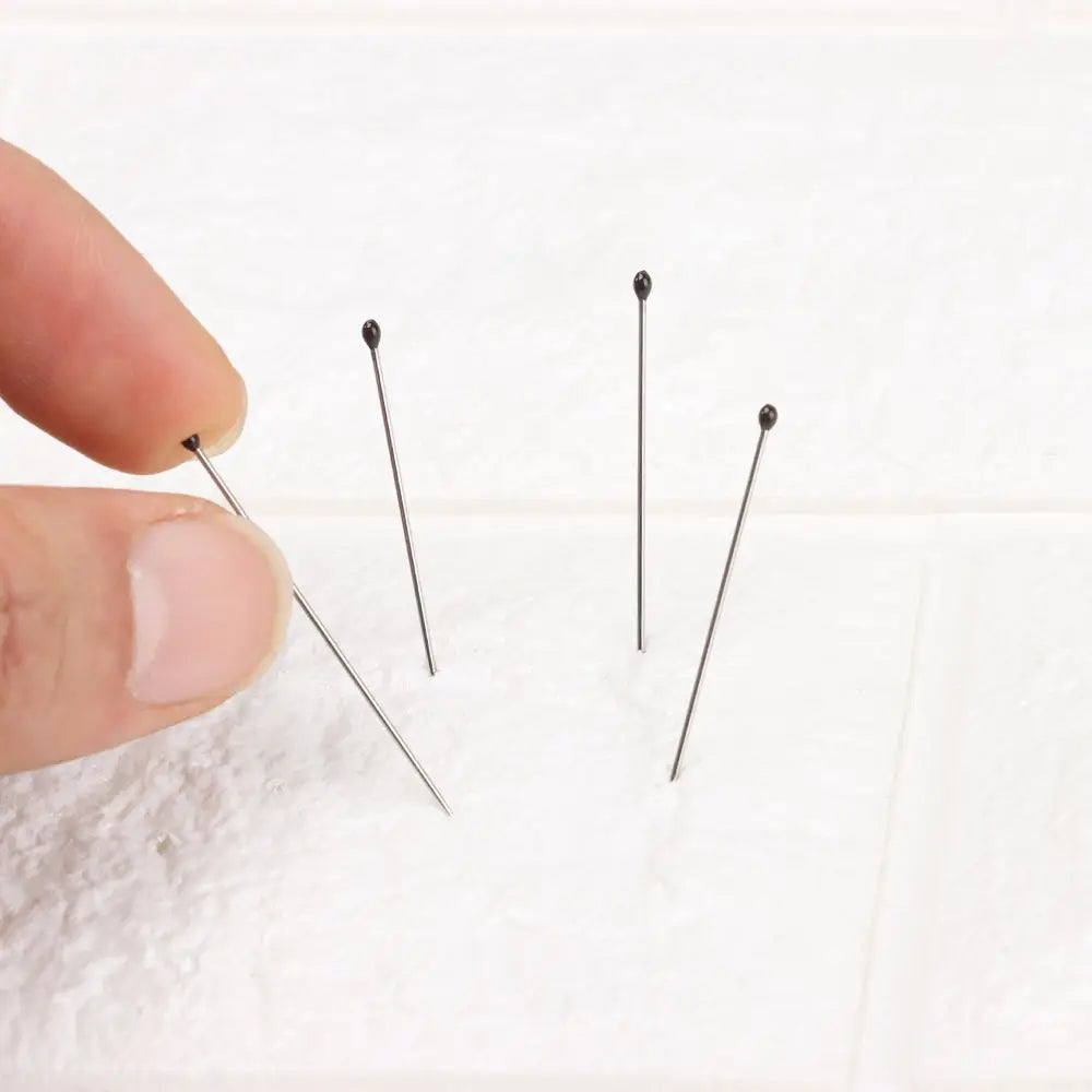 Stainless Steel Insect Specimen Pins - 100 Pieces