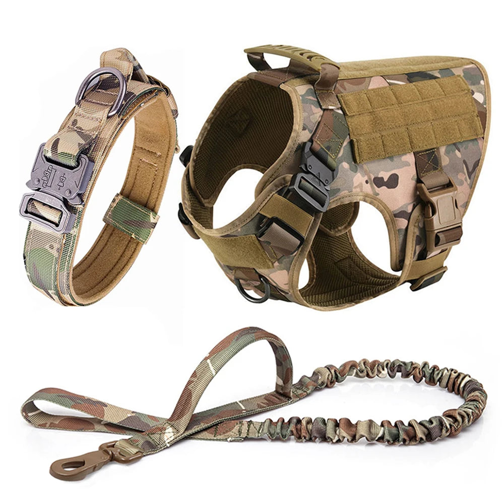 Large Dog Harness and Leash Set for Training and Walking