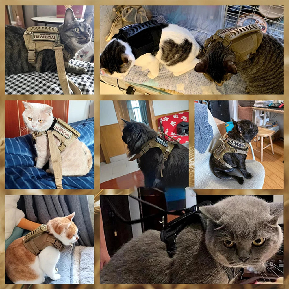 Pettorina tattica regolabile per gatti per avventure all'aperto sicure