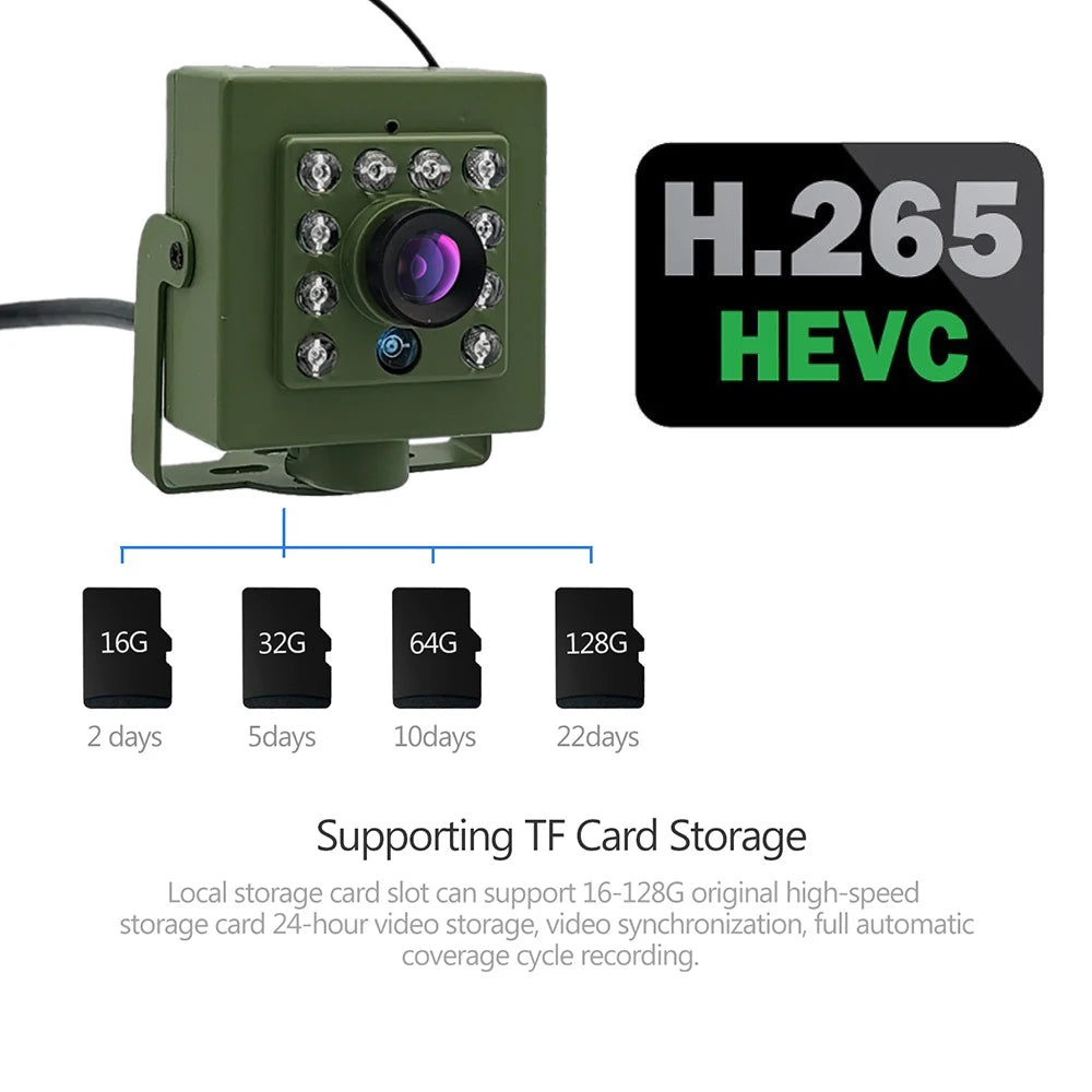 WiFi Bird Nest Camera with Motion Detection and Night Vision