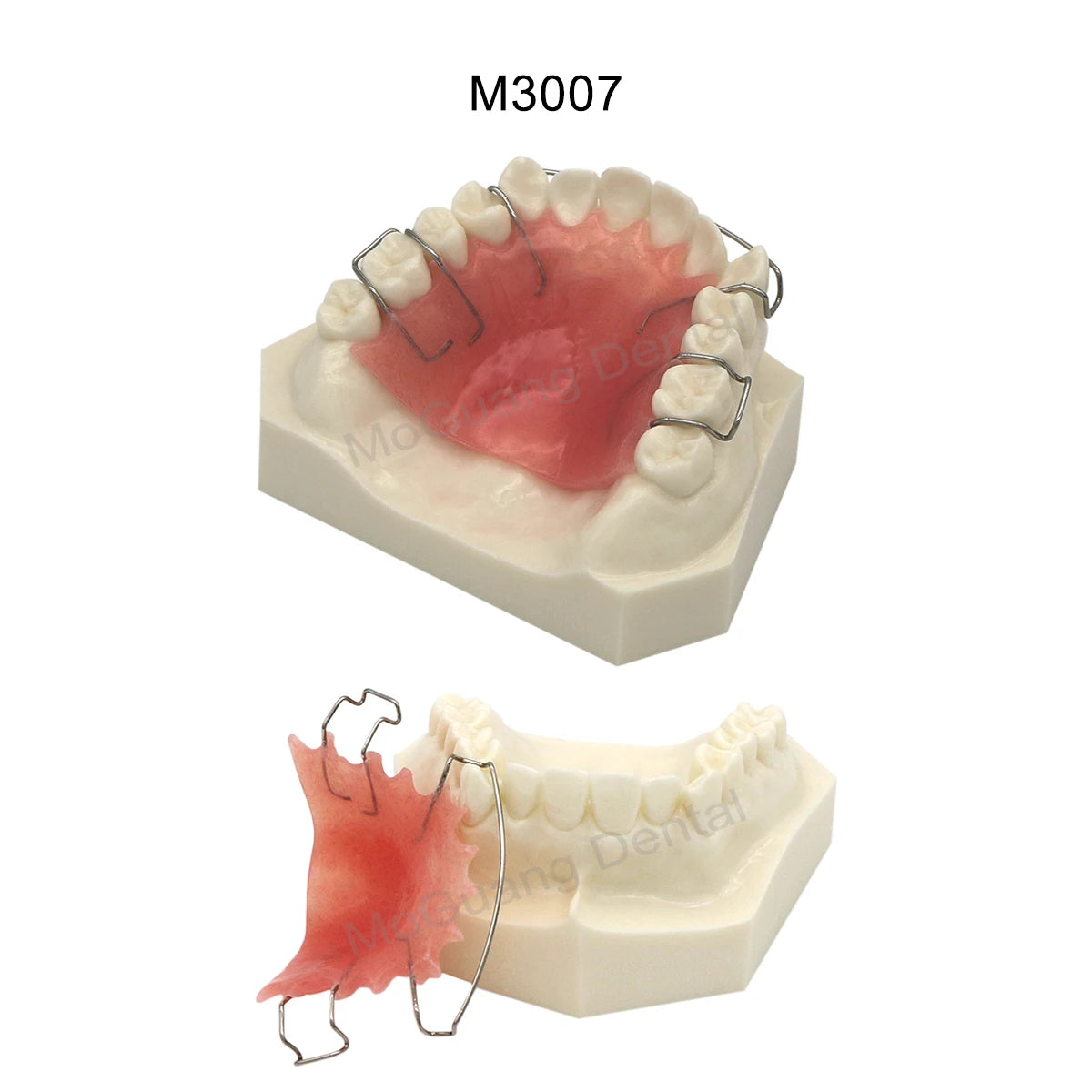Dental Orthodontic Teaching Models and Cheek Simulator Options