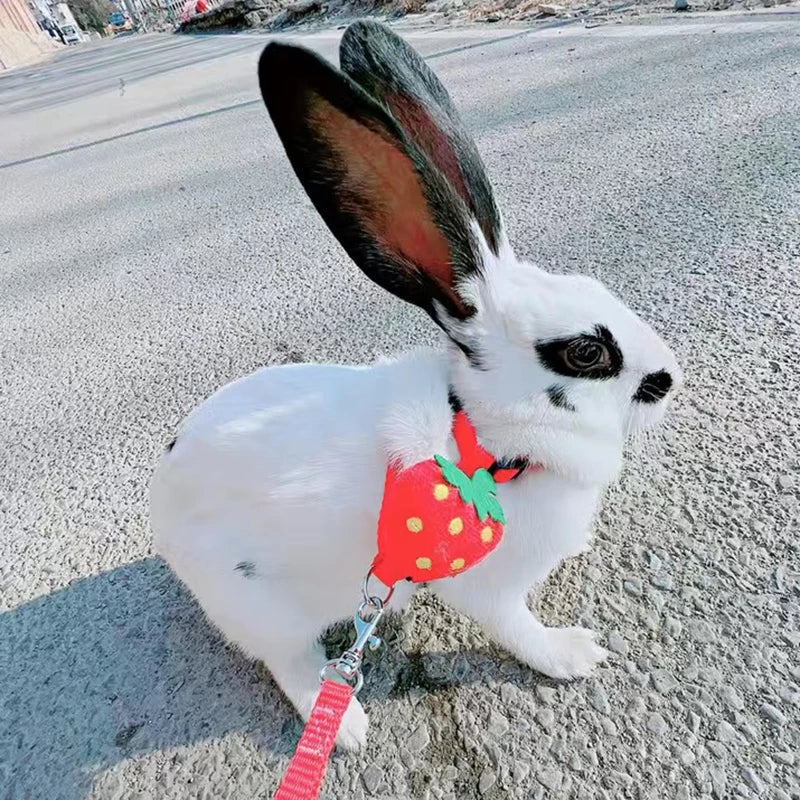 Walking Bunny Guinea Pig Harness for Small Animals Cute Pet Rabbit Harnesses and Leash Set Chinchilla Pigs mascotas Accessories 