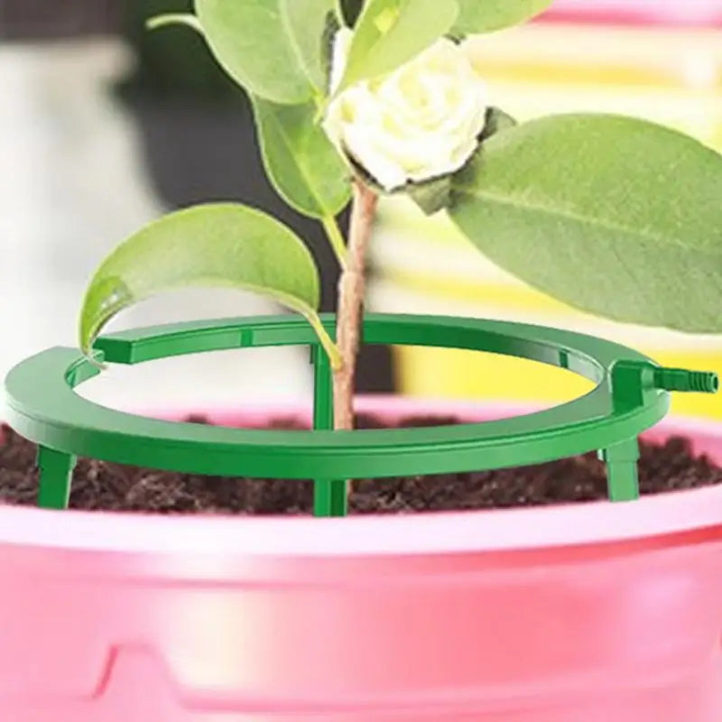 Hydro Halo Plant Watering Ring, 5 or 9 Inch, ABS