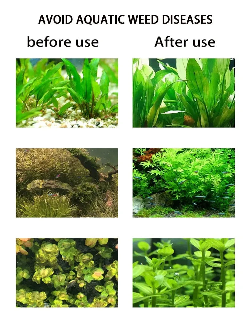 Stainless Steel Aquarium CO₂ Generator Kit — 1 L or 2 L