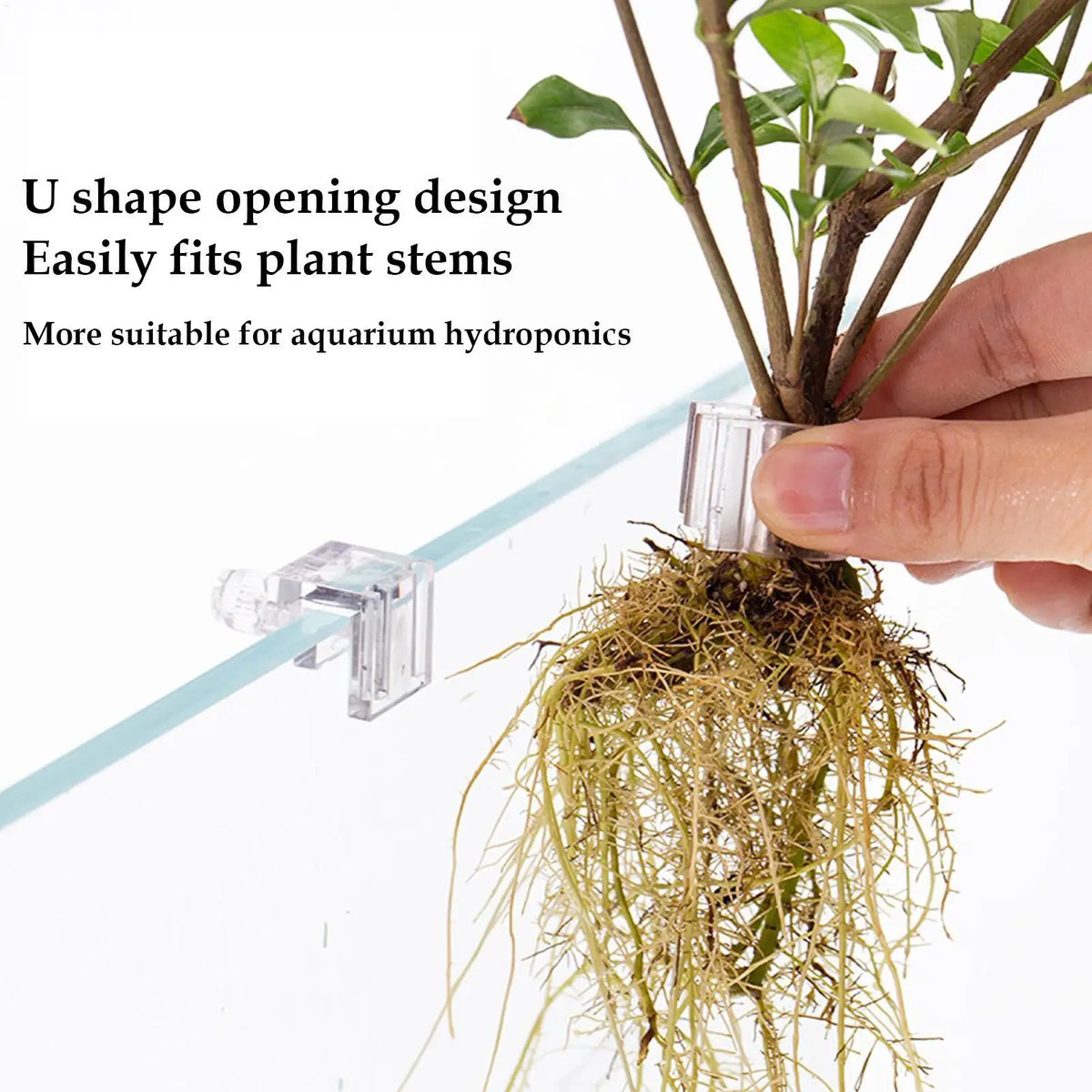 Six Clear Aquarium Plant Holder Cups with Hanging Brackets