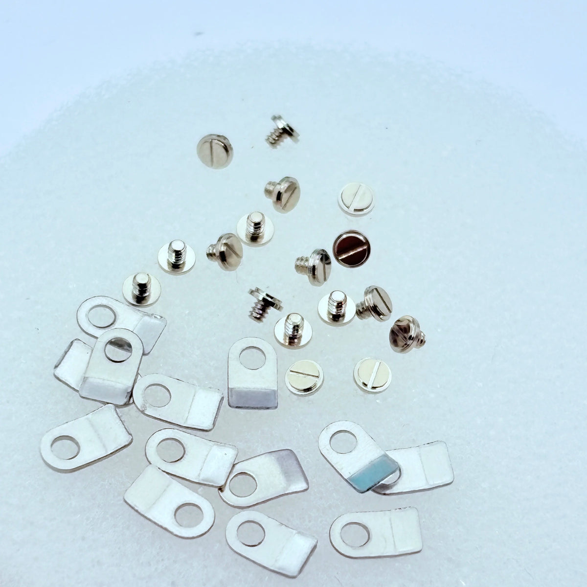 Watch Movement Retaining Plates and Screws for 2824, 2834 and 2836