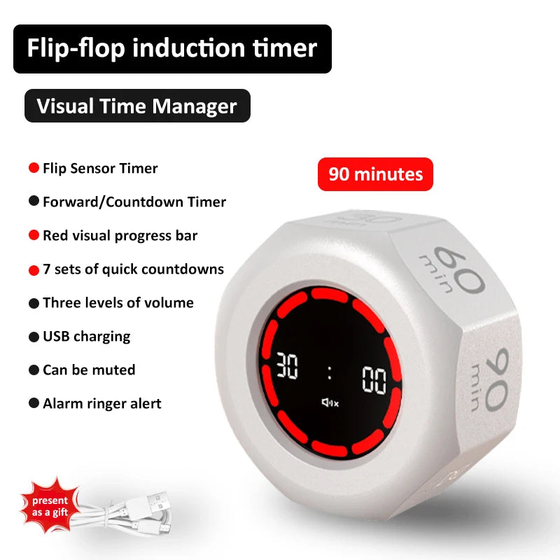 Rechargeable Flip Timer with Visual Display