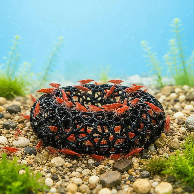 Obročast akvarijski zaščitnik za rakle — 8 cm