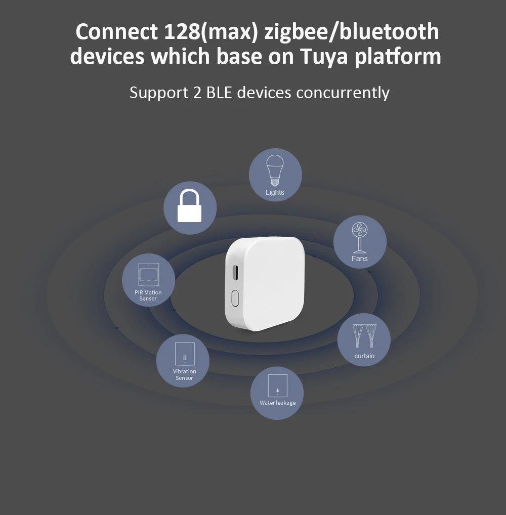 Gateway Tuya - Opzioni Zigbee e Bluetooth