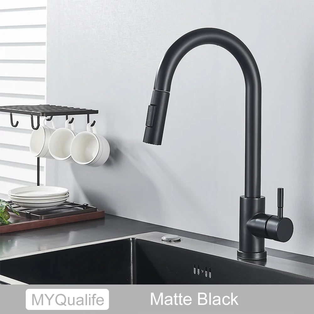 Black Kitchen Faucet with Pull-Out Dual-Function Spray