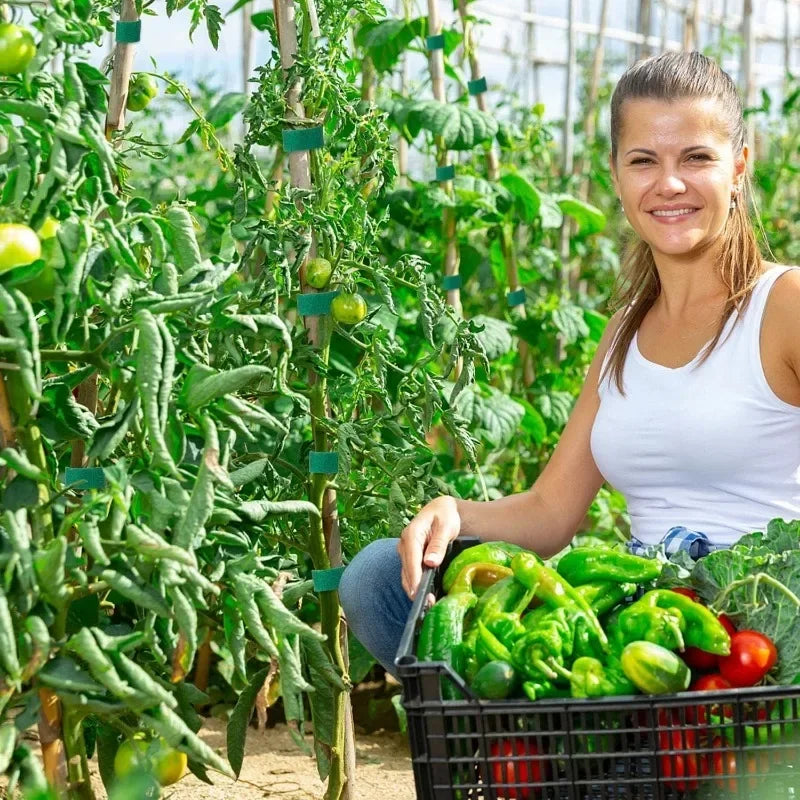 20/2M Nylon Plant Ties Plant Bandage Hook Tie Loop Adjustable Plant Support Reusable Fastener Tape for Home Garden Accessories 