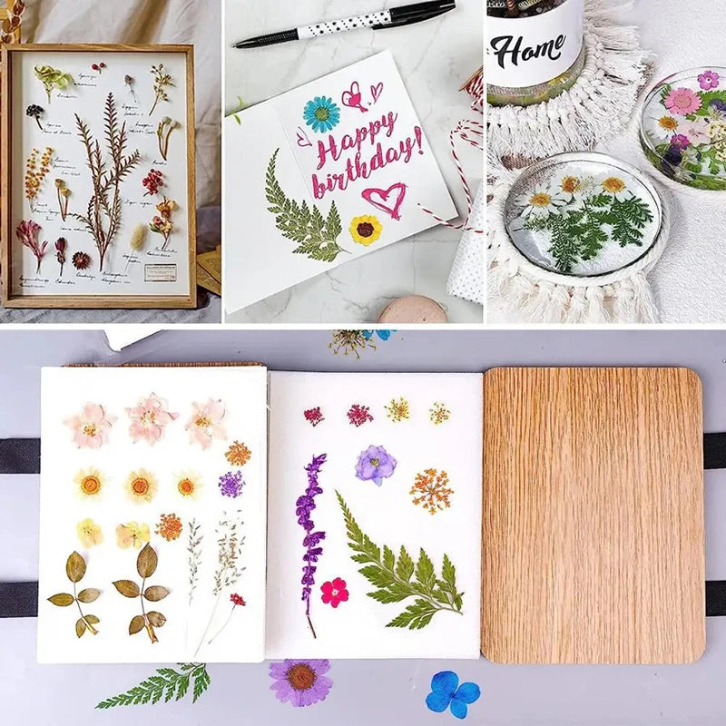 Bloem- en bladpers-kit