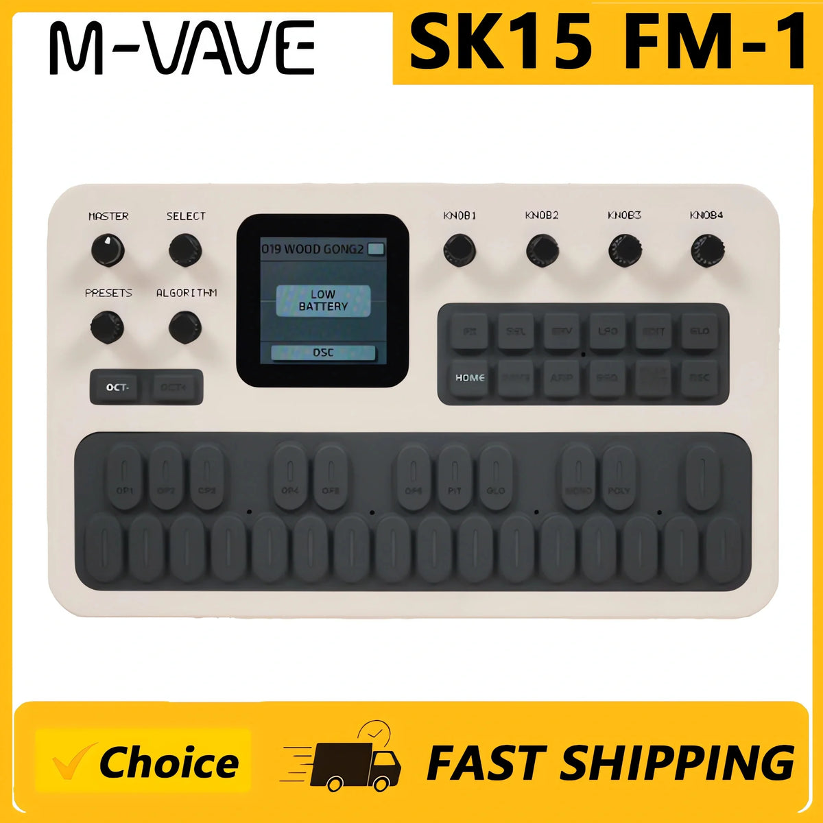SK15 FM-1 Portable Synthesizer Sound Module
