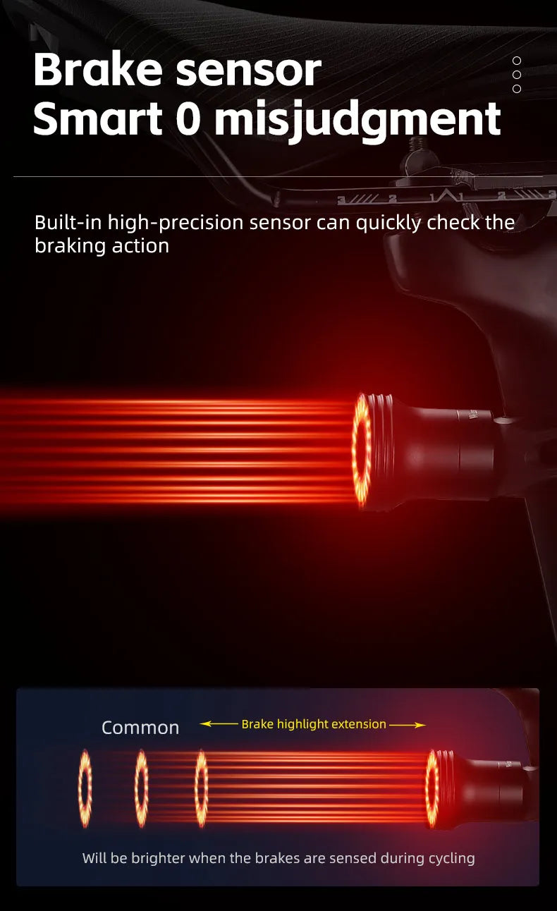Smart Bicycle Tail Light — USB-C