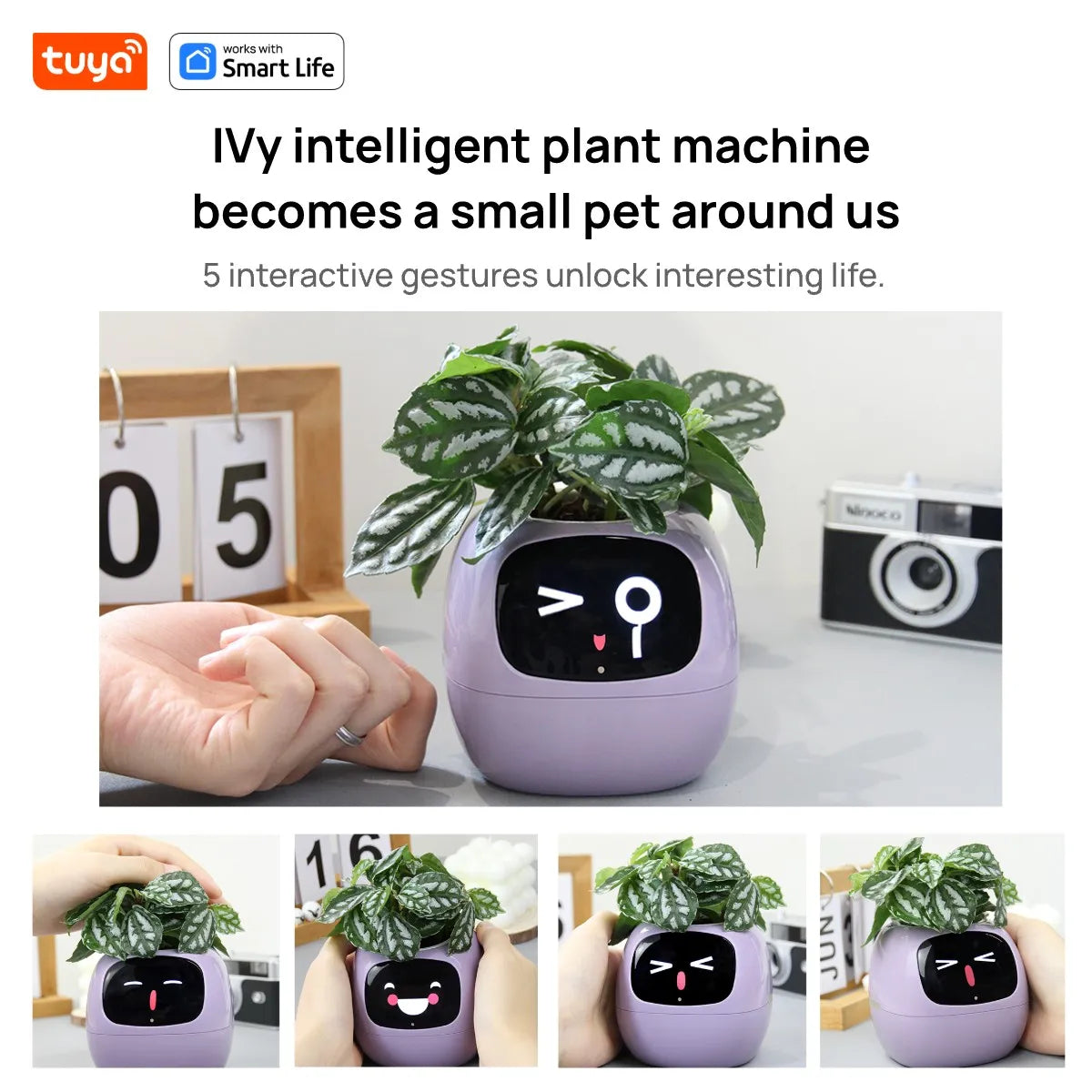 Pink Smart Planter with Expression Display
