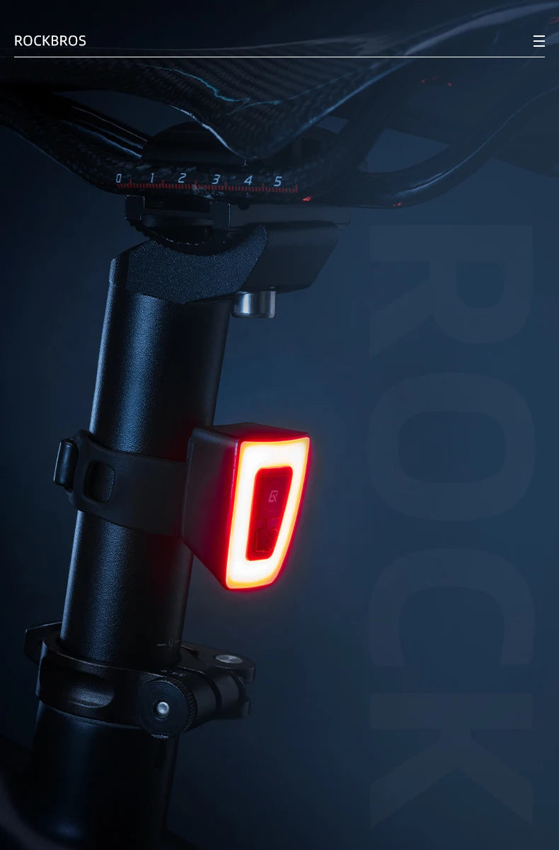 USB Rechargeable Bike Tail Light with 9 Modes Waterproof LED