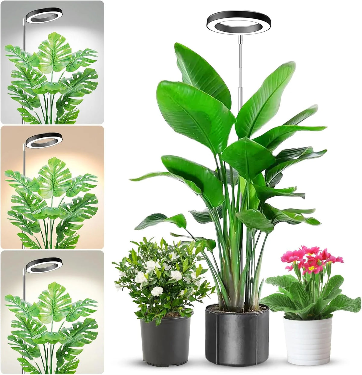 LED Grow Light for Indoor Plants with Timer and Extendable Stand