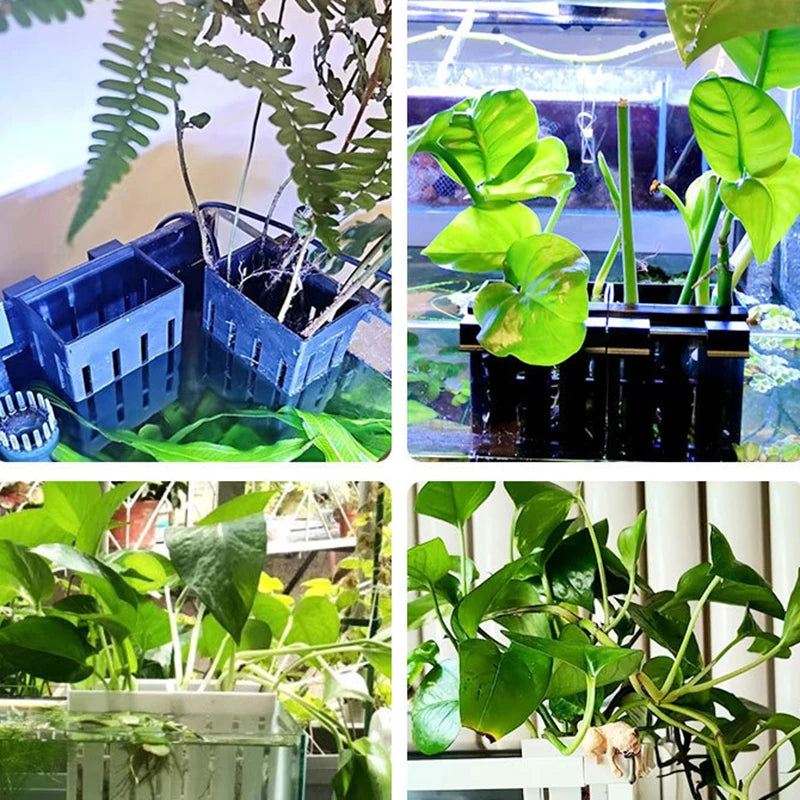 Hanging Aquarium Plant Basket