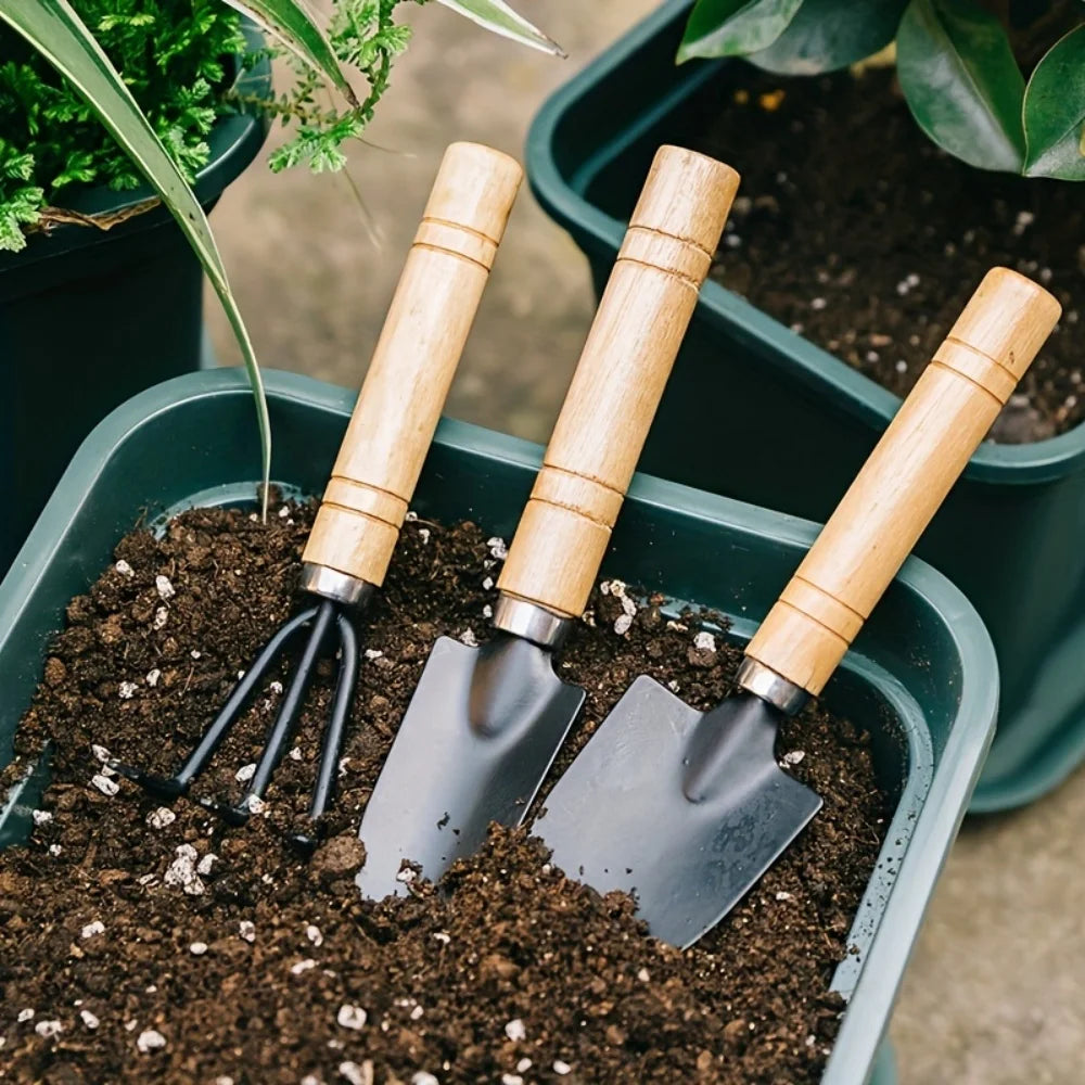 Mini Garden Tool Set with Wooden Handles, 3 Pieces
