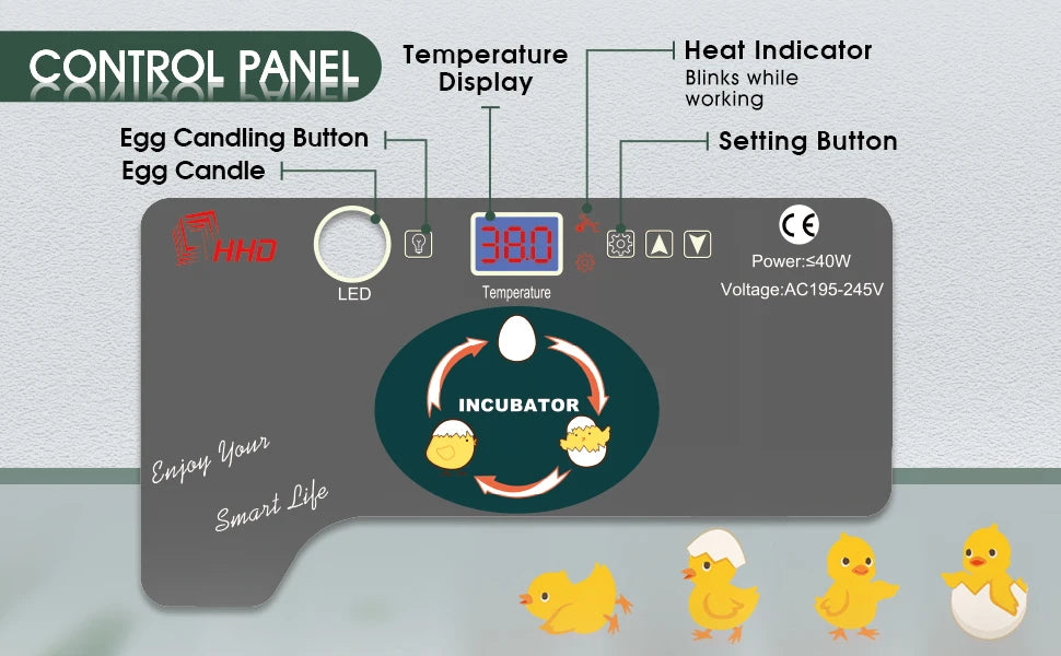 12 Egg Incubator with Auto Turning, Temperature Control & Candler