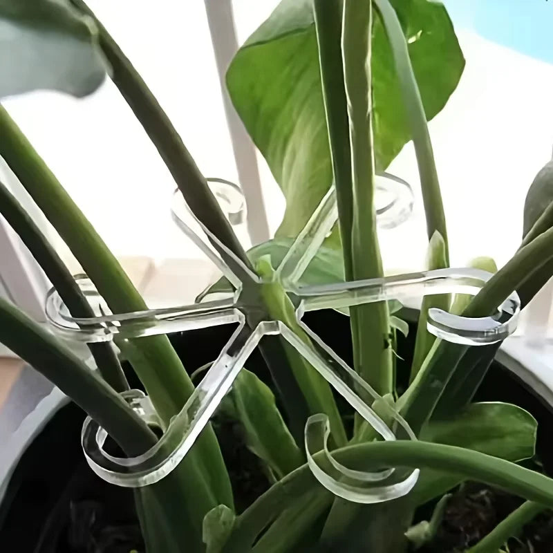 Transparent Plant Stem Support Clips, 4 Pieces